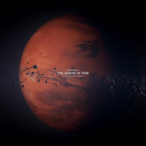 亚洲A片一级在线观看
