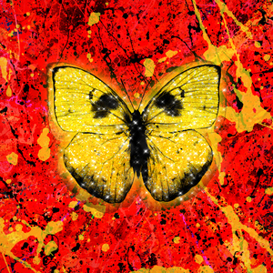 女生全裸不打码性交
