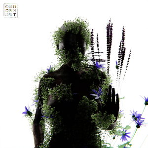 女生全裸不打码性交
