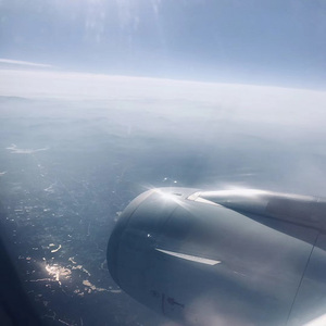 自慰内裤夹震蛋出门都湿透了
