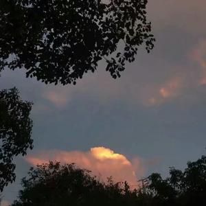 日本一二三区免费更新
