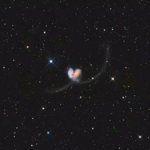 性饥渴老熟男BBw
