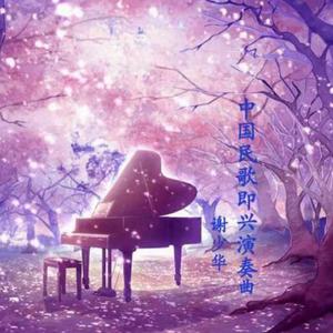 亚洲A片一级在线观看
